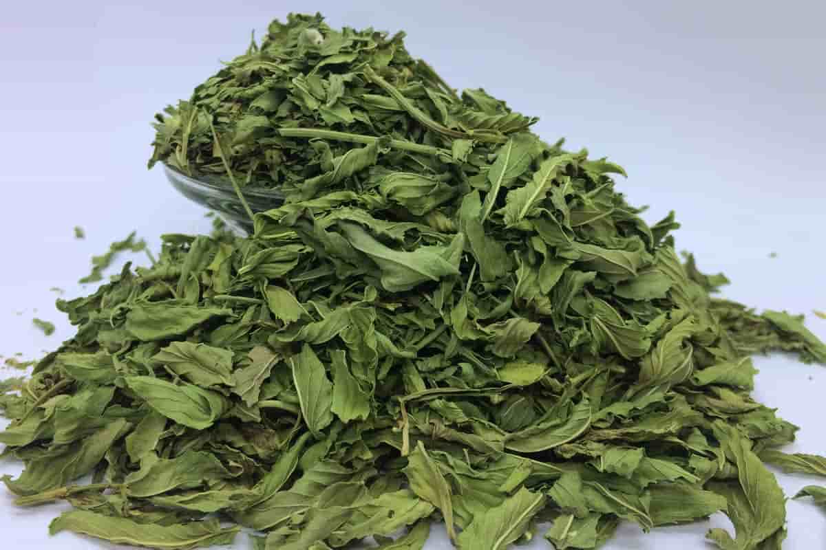نعنا خشک صادراتی معطر ویژه عطاری های سنتی ممتاز